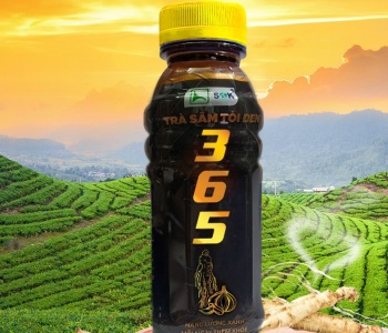 TRÀ SÂM TỎI ĐEN 365  (1 THÙNG 24 CHAI)